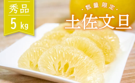 土佐文旦 秀品 5kg 先行予約 2027年２月から順次発送 高知県産 柑橘 フルーツ 文旦 ぶんたん ブンタン 分担 果物 みかん 文旦 産地直送 高知県 須崎 須崎市 KG008