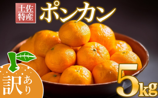 [早期予約開始]2026年1月下旬より順次発送 訳あり ぽんかん 5kg サイズ混合 家庭用 柑橘 みかん 蜜柑 家庭用 高知県 須崎市