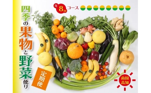 定期便 8回 野菜 おまかせ セット 10 ? 14種 旬 新玉ねぎ そら豆 スナップえんどう 春キャベツ フルーツトマト じゃが芋 みょうが ズッキーニ オクラ コリンキー かぼちゃ すじなし豆 トマト 花ニラ さつま芋 栗 秋豆 ぶしゅかん しょうが キク芋 赤大根 白大根 かぶ カリフラワー 芽キャベツ 白菜 ブロッコリー 葉ニンニク ゆず 須崎 高知 頒布会 HNT3000