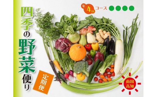 定期便 4回 野菜 おまかせ セット 10 ～ 14種 春夏秋冬 なばな 新玉ねぎ そら豆 スナップえんどう 春キャベツ フルーツトマト じゃが芋 みょうが ズッキーニ オクラ かぼちゃ すじなし豆 トマト 空心菜 花ニラ さつま芋 栗 秋豆 しょうが 金時しょうが キク芋 赤大根 白大根 かぶ カリフラワー 白菜 ブロッコリー 葉ニンニク ゆず 須崎 高知 頒布会 HNT2000