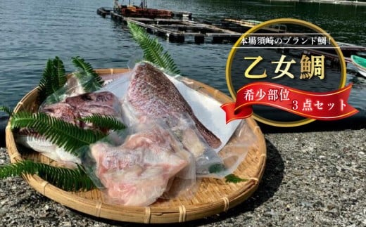 乙女鯛 セット 希少部位 カマ 頭 フィーレ 3点セット 冷凍 お手軽 簡単 おかず 鯛 魚介類 須崎市