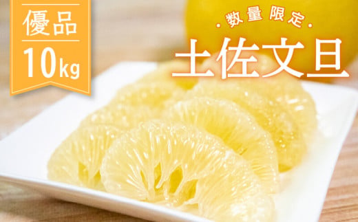 土佐文旦 優品 10kg　先行予約 2027年２月から順次発送 高知県産 柑橘 フルーツ 文旦 ぶんたん ブンタン 分担 果物 みかん 文旦 産地直送 高知県 須崎 須崎市 KG005