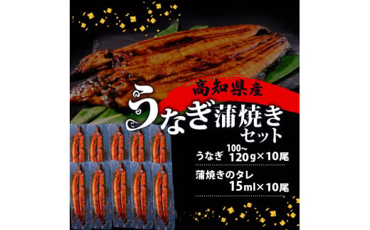 国産 うなぎ の 蒲焼き 10尾 ( 1尾 100g ~ 120g ) 尾頭付き 土用の丑の日 高知県産 蒲焼 特上 鰻 ひつまぶし うな丼 うな重 お歳暮 ギフト 冷凍 養殖 ふるさと納税うなぎ 高知県 須崎市 秘伝タレ付き 真空パック 惣菜 人気 ランキング おすすめ 母の日 父の日 ME0282
