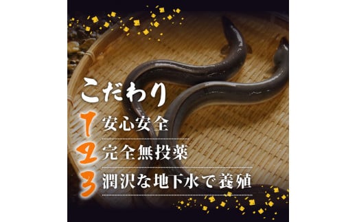 国産 うなぎ の 蒲焼き 10尾 ( 1尾 100g ~ 120g ) 尾頭付き 土用の丑の日 高知県産 蒲焼 特上 鰻 ひつまぶし うな丼 うな重 お歳暮 ギフト 冷凍 養殖 ふるさと納税うなぎ 高知県 須崎市 秘伝タレ付き 真空パック 惣菜 人気 ランキング おすすめ 母の日 父の日 ME0282