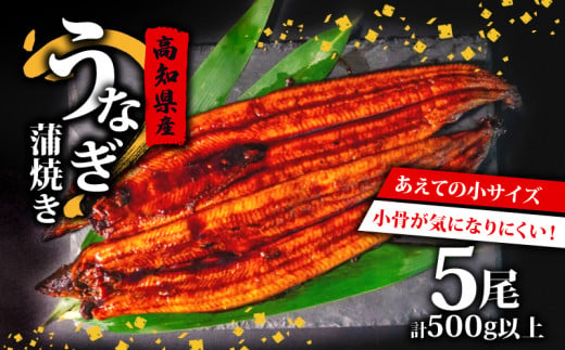 国産 うなぎ の 蒲焼き 5尾 ( 1尾 100g ~ 120g ) 尾頭付き 土用の丑の日 高知県産 蒲焼 特上 鰻 ひつまぶし うな丼 うな重 お歳暮 ギフト 冷凍 養殖 ふるさと納税うなぎ 高知県 須崎市 秘伝タレ付き 真空パック 惣菜 人気 ランキング おすすめ 母の日 父の日 ME0272