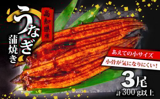 肉厚 うなぎ の 蒲焼き 100g ～ 120g × 3尾 計 300g 以上 自家製 タレ 3個 セット 頭付き 鰻 手焼き 蒲焼 タレ付き ふっくら 香ばしい うなぎ蒲焼き 鰻蒲焼 高知県産 国産 養殖鰻 養殖うなぎ 冷凍 惣菜 真空パック 温めるだけ 簡単調理 高知県 須崎市 ME0261_x