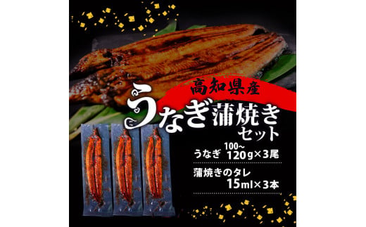国産 うなぎ の 蒲焼き 3尾 ( 1尾 100g ~ 120g ) 尾頭付き 土用の丑の日 高知県産 蒲焼 特上 鰻 ひつまぶし うな丼 うな重 お歳暮 ギフト 冷凍 養殖 ふるさと納税うなぎ 高知県 須崎市 秘伝タレ付き 真空パック 惣菜 人気 ランキング おすすめ 母の日 父の日 ME0261_x