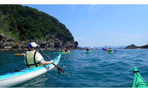 【 シーカヤック体験 】 よくばり 神島コース 1名様分 カヤック 体験 体験型 体験チケット 初心者 インストラクター 利用券 kayak レジャー 海 ビーチ アウトドア 旅行 観光 自然 マリンスポーツ 券 スポーツ アクティビティ 運動 子ども 家族 友人 トラベル 食べ物以外 高知県 須崎市
