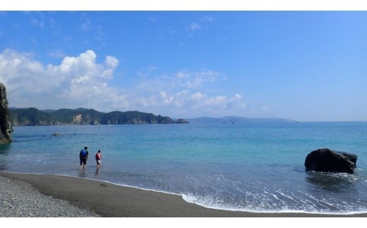 【 シーカヤック体験 】 よくばり 神島コース 1名様分 カヤック 体験 体験型 体験チケット 初心者 インストラクター 利用券 kayak レジャー 海 ビーチ アウトドア 旅行 観光 自然 マリンスポーツ 券 スポーツ アクティビティ 運動 子ども 家族 友人 トラベル 食べ物以外 高知県 須崎市