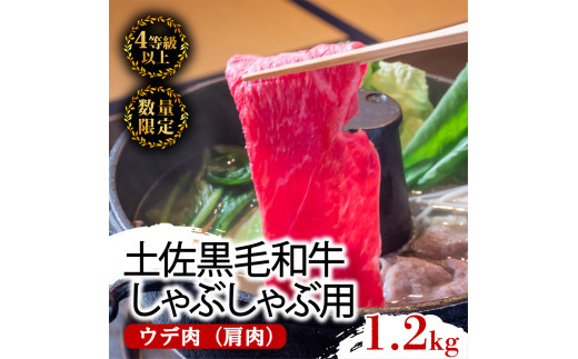土佐 黒毛 和牛 しゃぶしゃぶ用 1.2kg （ 600g × 2パック ） | 特撰 ウデ肉 肩肉 最上位等級 A4 A5 最高ランク 贅沢 しゃぶしゃぶ　鍋 スライス 焼肉用 小分け 冷凍 国産 牛肉 1kg 以上 高知県 須崎 TM013