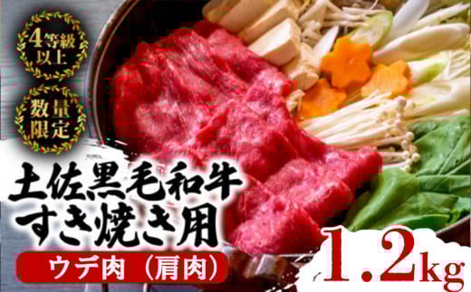 土佐 黒毛 和牛 すき焼き用 1.2kg （ 600g × 2パック ） | 特撰 ウデ肉 肩肉 最上位等級 A4 A5 最高ランク 贅沢 すきやき スキヤキ用 鍋 焼肉用 小分け 冷凍 国産 牛肉 高知県 須崎 TM011