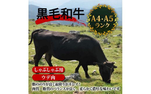 土佐 黒毛 和牛 しゃぶしゃぶ用 800g （ 400g × 2パック ） | 特撰 ウデ肉 肩肉 最上位等級 A4 A5 最高ランク 贅沢 しゃぶしゃぶ　鍋 スライス 焼肉用 小分け 冷凍 国産 牛肉 高知県 須崎 TM006