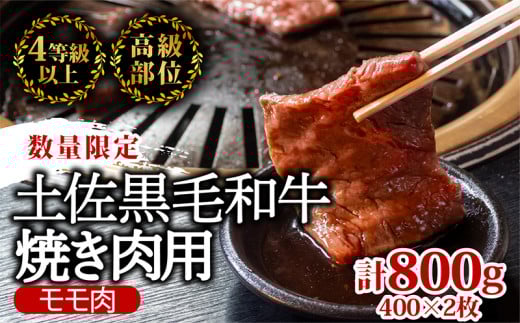 土佐 黒毛 和牛 焼肉用 800g （ 400g × 2パック ） | 特撰 モモ肉 最上位等級 A4 A5 最高ランク 贅沢 焼き肉 やきにく 小分け 冷凍 国産 ブランド 和牛 牛肉 大人気 ギフト リピート リピーター おすすめ ランキング おいしい 限定 高評価 BBQ バーベキュー キャンプ アウトドア 高知県 須崎 TM005