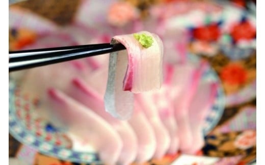 カンパチ 勘八 1節 セット | 極美勘八 人気 高級 魚 産地直送 かんぱち しゃぶしゃぶ 鍋 照り焼き 刺し身 刺身 さしみ 生 冷蔵 高知県 須崎市