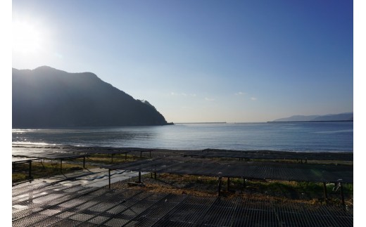 æ¬ãããã¿ ç¹æ°  é«çŽçå³ ïŒœ 130gä»¥äž å®®é²ååºè¬¹è£œ MS006