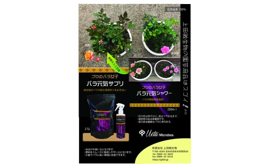 蝨定敢繝舌Λ螂ウ蟄舌そ繝繝医繝舌Λ蟆ら畑縺ョ蝨滓隼濶ッ譚舌→譬鬢翫せ繝励Ξ繝シ