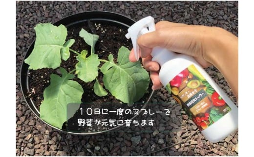 家庭菜園にオススメ！　ベランダー農業女子セット　野菜が元気に育ちます！！UB015