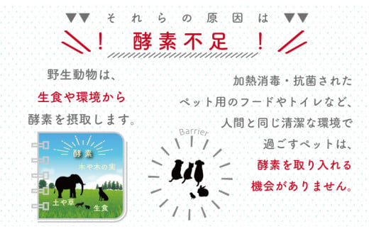 迪ォ逕ィ 豸郁ュ 繧ケ繝励Ξ繝シ 豈幄恩 繧ア繧「 繧ウ繝ウ繝繧」繧キ繝ァ繝翫シ 180ml 1譛ャ 讀咲黄逕ア譚・ 100%縲 BIO 繧キ繝」繝ッ繝シ縲 辟。閾ュ 辟。逹濶イ辟。豺サ蜉 驟オ邏 螳牙ソ 鬆亥エ 鬮倡衍 UB005