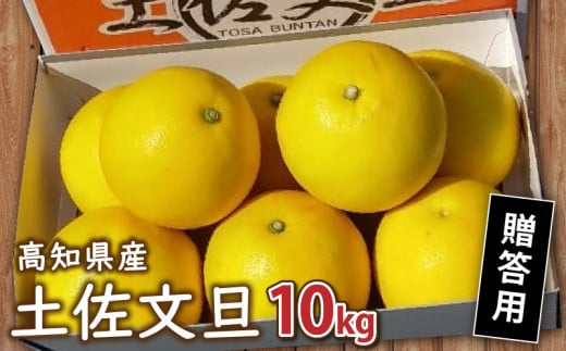 贈答用 土佐 文旦 10kg 【 202７年１月下旬より発送 】 産地直送 高知県産 秀品 柑橘 フルーツ 文旦 ぶんたん ブンタン 果物 みかん ギフト 蜜柑 かんきつ 期間限定 季節限定  高知県 須崎 贈答