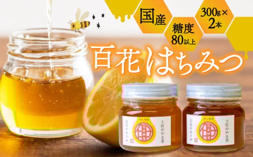 国産 ハチミツ  糖度80以上 2本 採蜜 蜂蜜 安和地区 日本 須崎市 高知県