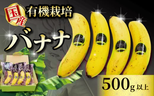 高級 バナナ 500g 以上 国産 有機栽培 高知初 糖度 25度以上 果物 フルーツ 高知県 須崎市