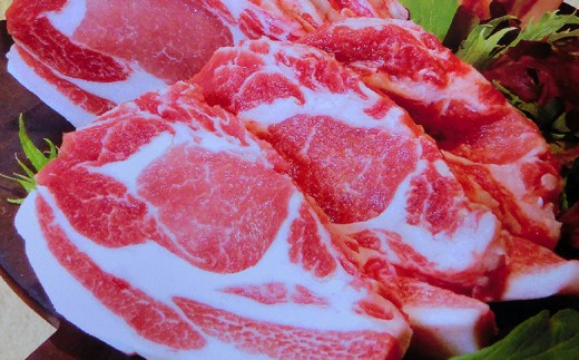 定期便 6回 肉 豚肉 鶏肉 四万十鶏 四万十ポーク 特製たれ漬け トリ ブタ もも肉 むね肉 胸肉 唐揚げ 豚カツ 小分け 高知県 須崎 頒布会 ME1000