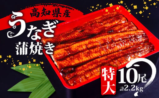 国産 うなぎ 蒲焼き 10尾 ( 1尾 約220g ) 尾頭付き 土用の丑の日 高知県産 蒲焼 特大 特上 鰻 ひつまぶし うな丼 うな重 お歳暮 ギフト 冷凍 養殖 ふるさと納税うなぎ 高知県 須崎市 秘伝タレ付き 真空パック 惣菜 人気 ランキング おすすめ 母の日 父の日 ME0092