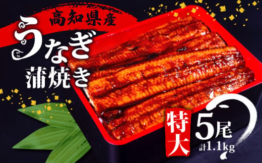 国産 うなぎ 蒲焼き 5尾 ( 1尾 約220g ) 尾頭付き 土用の丑の日 高知県産 蒲焼 特大 特上 鰻 ひつまぶし うな丼 うな重 お歳暮 ギフト 冷凍 養殖 ふるさと納税うなぎ 高知県 須崎市 秘伝タレ付き 真空パック 惣菜 人気 ランキング おすすめ 母の日 父の日 ME0072