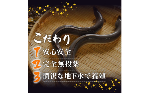 国産 うなぎ 蒲焼き 20尾 ( 1尾 約220g ) 尾頭付き 土用の丑の日 高知県産 蒲焼 特大 特上 鰻 ひつまぶし うな丼 うな重 お歳暮 ギフト 冷凍 養殖 ふるさと納税うなぎ 高知県 須崎市 秘伝タレ付き 真空パック 惣菜 人気 ランキング おすすめ 母の日 父の日 ME0102