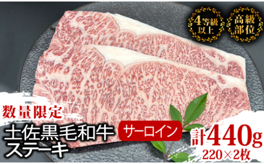 サーロインステーキ 440g ( 220g × 2枚 ) 土佐 黒毛 和牛 | 特撰 サーロイン肉 最上位等級 A4 A5 最高 ランク 贅沢 厚切り ステーキ用 焼肉用 キャンプ飯 国産 牛肉 高知県 須崎市 TM010