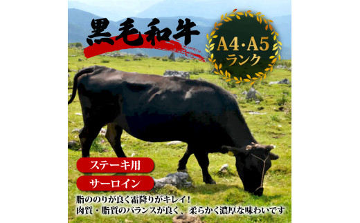 サーロインステーキ 440g ( 220g × 2枚 ) 土佐 黒毛 和牛 | 特撰 サーロイン肉 最上位等級 A4 A5 最高 ランク 贅沢 厚切り ステーキ用 焼肉用 キャンプ飯 国産 牛肉 高知県 須崎市 TM010