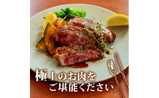 サーロインステーキ 440g ( 220g × 2枚 ) 土佐 黒毛 和牛 | 特撰 サーロイン肉 最上位等級 A4 A5 最高 ランク 贅沢 厚切り ステーキ用 焼肉用 キャンプ飯 国産 牛肉 高知県 須崎市 TM010