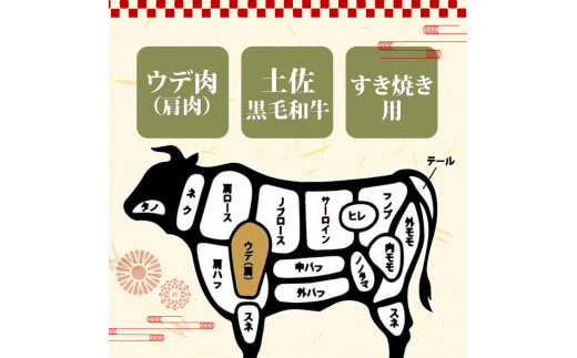 土佐 黒毛 和牛 すき焼き用 800g （ 400g × 2パック ） | 特撰 ウデ肉 肩肉 最上位等級 A4 A5 最高ランク 贅沢 すきやき スキヤキ用 鍋 焼肉用 小分け 冷凍 国産 牛肉 高知県 須崎 TM004
