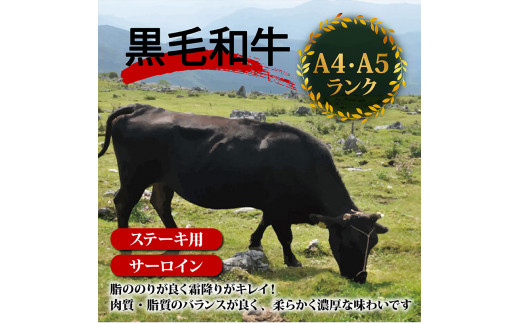 サーロインステーキ 660g ( 220g × 3枚 ) 土佐 黒毛 和牛 | 特撰 サーロイン肉 最上位等級 A4 A5 最高 ランク 贅沢 厚切り ステーキ用 焼肉用 キャンプ飯 国産 牛肉 霜降り肉 焼肉 バーベキュー BBQ 肉 冷凍 お歳暮 ギフト 高知県 須崎市 TM017
