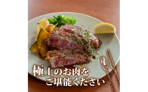 サーロインステーキ 660g ( 220g × 3枚 ) 土佐 黒毛 和牛 | 特撰 サーロイン肉 最上位等級 A4 A5 最高 ランク 贅沢 厚切り ステーキ用 焼肉用 キャンプ飯 国産 牛肉 霜降り肉 焼肉 バーベキュー BBQ 肉 冷凍 お歳暮 ギフト 高知県 須崎市 TM017