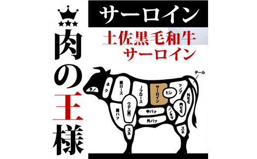 サーロインステーキ 660g ( 220g × 3枚 ) 土佐 黒毛 和牛 | 特撰 サーロイン肉 最上位等級 A4 A5 最高 ランク 贅沢 厚切り ステーキ用 焼肉用 キャンプ飯 国産 牛肉 霜降り肉 焼肉 バーベキュー BBQ 肉 冷凍 お歳暮 ギフト 高知県 須崎市 TM017