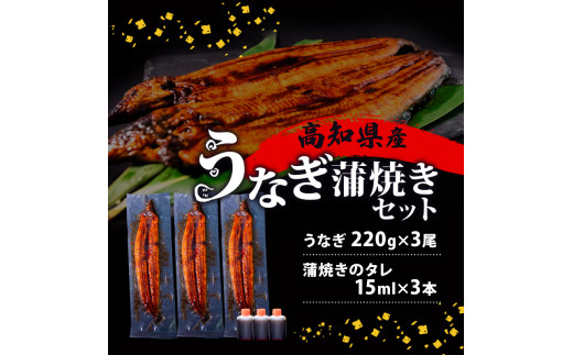 国産 うなぎ 蒲焼き 3尾 ( 1尾 約220g ) 尾頭付き 土用の丑の日 高知県産 蒲焼 特大 特上 鰻 ひつまぶし うな丼 うな重 お歳暮 ギフト 冷凍 養殖 ふるさと納税うなぎ 高知県 須崎市 秘伝タレ付き 真空パック 惣菜 人気 ランキング おすすめ 母の日 父の日 ME0062