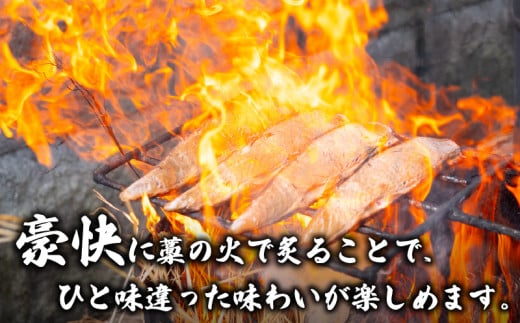 【 高知の鰹 】 藁焼き かつおタタキ と トロ焼き かつお セット 厳選 こだわり 特製  高知県産  野島水産 特製 鰹 トロ 須崎 NS003_x