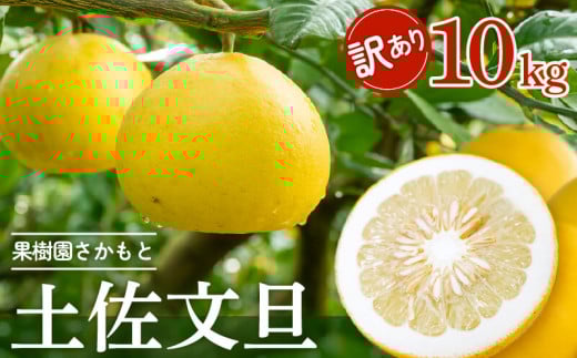 【2025年2月より発送】 高知県産 土佐文旦 家庭用 訳あり 10kg 大小混合品 土佐 文旦 ぶんたん ブンタン 時期 人気 旬 柑橘 フルーツ 果物 国産 ブランド ビタミン 生産者 産地 高知 須崎 KJS005-x