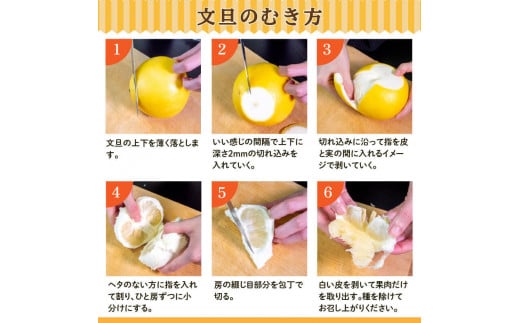 【2025年2月より発送】 高知県産 土佐文旦 家庭用 訳あり 10kg 大小混合品 土佐 文旦 ぶんたん ブンタン 時期 人気 旬 柑橘 フルーツ 果物 国産 ブランド ビタミン 生産者 産地 高知 須崎 KJS005-x