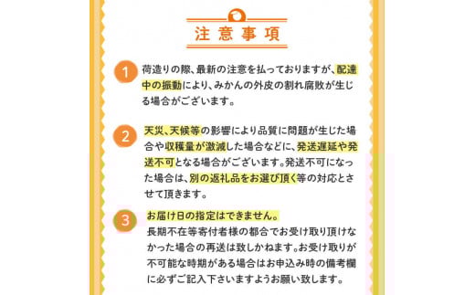 【2025年2月より発送】 高知県産 土佐文旦 家庭用 訳あり 10kg 大小混合品 土佐 文旦 ぶんたん ブンタン 時期 人気 旬 柑橘 フルーツ 果物 国産 ブランド ビタミン 生産者 産地 高知 須崎 KJS005-x