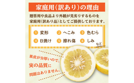 【2025年2月より発送】 高知県産 土佐文旦 家庭用 訳あり 10kg 大小混合品 土佐 文旦 ぶんたん ブンタン 時期 人気 旬 柑橘 フルーツ 果物 国産 ブランド ビタミン 生産者 産地 高知 須崎 KJS005-x
