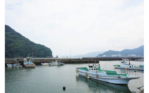 本からすみ 金撰 ［ 高級珍味 ］ 220g 以上 宮進商店謹製 冷蔵 国産 原料 使用 カラスミ 唐墨 高級 珍味 酒の肴 つまみ 魚卵 高知 真空 日本酒  ボラ 鯔 贈答 ギフト 贈り物 祝い 記念日 お歳暮 お年賀 正月 MS010