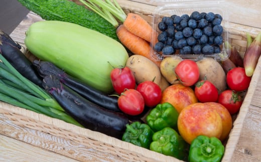 野菜 ･ 果物 10 ～ 13 種類 セット | お楽しみ やさい フルーツ セット 旬 春 夏 秋 冬 採れたて 新鮮 農家 直送 詰め合わせ 国産 季節 フレッシュ 果物 フルーツ ぶどう いちご スイカ きゅうり ピーマン なす トマト 大根 白菜 高知県 須崎市 ME001_x