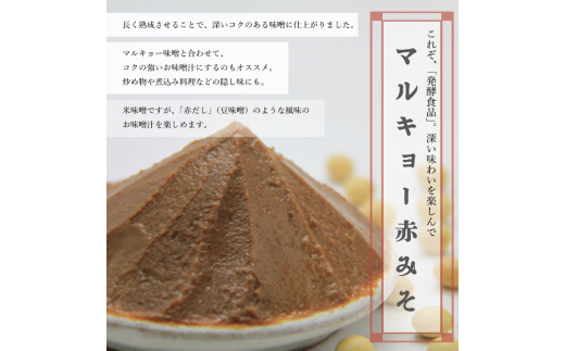 自家製 味噌 3種 500g × 6パック 計 3kg セット 国産 マルキョー味噌 赤味噌 白味噌 詰め合わせ みそ 味噌汁 お味噌汁 大豆 米 塩 調味料 発酵調味料 職人 手作り 高知県 須崎市