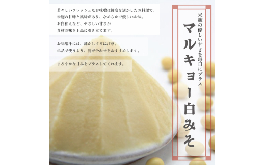 自家製 味噌 3種 500g × 6パック 計 3kg セット 国産 マルキョー味噌 赤味噌 白味噌 詰め合わせ みそ 味噌汁 お味噌汁 大豆 米 塩 調味料 発酵調味料 職人 手作り 高知県 須崎市
