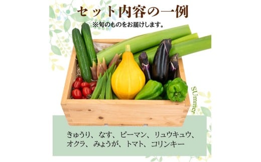野菜 セット 6 ～ 8品目 詰め合わせ レシピ 付き 産地直送 高知県 須崎市 新鮮野菜  新玉ねぎ そら豆 スナップえんどう 春キャベツ フルーツトマト みょうが ズッキーニ オクラ かぼちゃ すじなし豆 トマト 空心菜 さつま芋 栗 秋豆 ぶしゅかん しょうが 金時しょうが チャーテ キク芋 赤大根 かぶ カリフラワー 芽キャベツ 旬 人気 ふるさと納税野菜 野菜セット