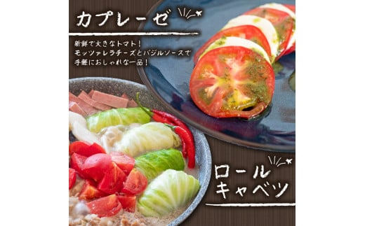 野菜 セット 6 ～ 8品目 詰め合わせ レシピ 付き 産地直送 高知県 須崎市 新鮮野菜  新玉ねぎ そら豆 スナップえんどう 春キャベツ フルーツトマト みょうが ズッキーニ オクラ かぼちゃ すじなし豆 トマト 空心菜 さつま芋 栗 秋豆 ぶしゅかん しょうが 金時しょうが チャーテ キク芋 赤大根 かぶ カリフラワー 芽キャベツ 旬 人気 ふるさと納税野菜 野菜セット