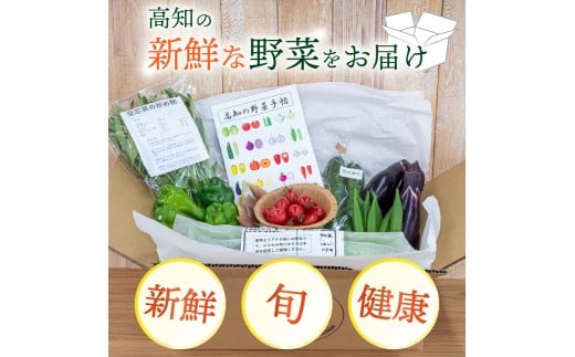 野菜 セット 6 ～ 8品目 詰め合わせ レシピ 付き 産地直送 高知県 須崎市 新鮮野菜  新玉ねぎ そら豆 スナップえんどう 春キャベツ フルーツトマト みょうが ズッキーニ オクラ かぼちゃ すじなし豆 トマト 空心菜 さつま芋 栗 秋豆 ぶしゅかん しょうが 金時しょうが チャーテ キク芋 赤大根 かぶ カリフラワー 芽キャベツ 旬 人気 ふるさと納税野菜 野菜セット