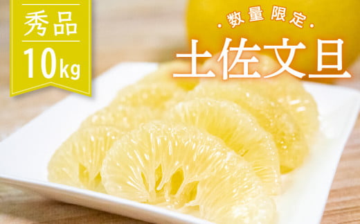 【ふるさと納税】 土佐文旦 秀品 優品 家庭用 10kg 5kg 高知県産 柑橘 旬 2027年2月より順次発送 フルーツふるさと納税 文旦 ぶんたん 果物 みかん 蜜柑  先行予約 期間限定 数量限定 訳あり 高知 須崎 予約受付中 特産品 旬の味覚 農家直送 大容量 お取り寄せ ギフト